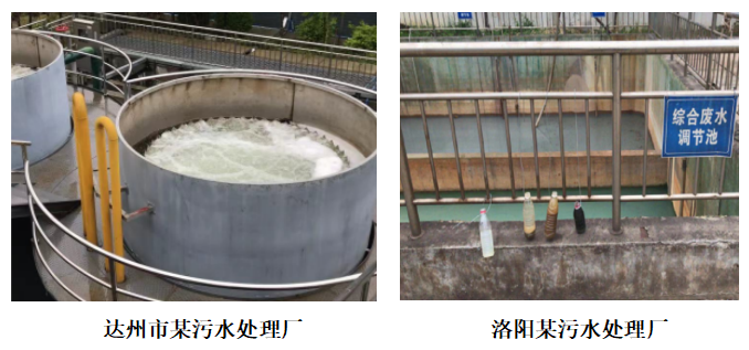厌氧菌应用案例