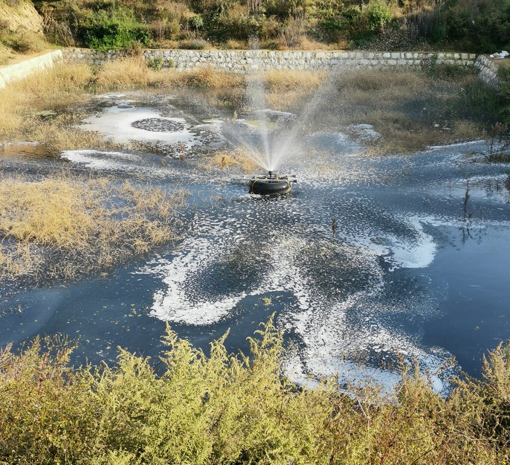 优化微生物组合技术提高黑臭水体净化效能