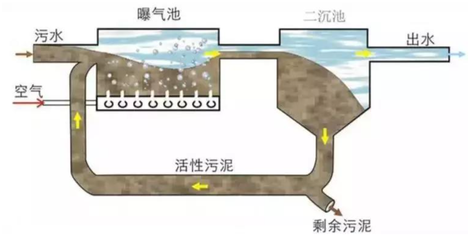 污水处理活性污泥流程