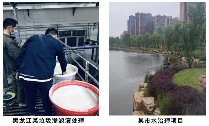 氨氮去除菌在污水处理中应用案例