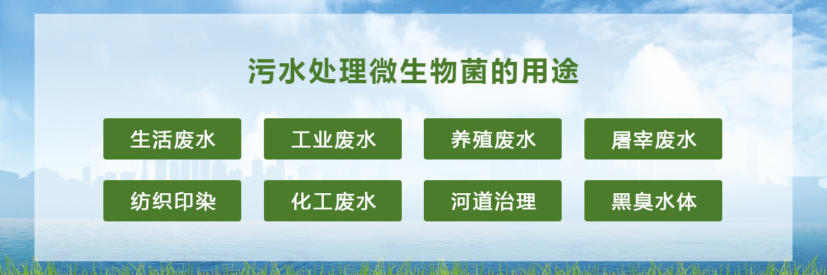 污水处理菌种的作用