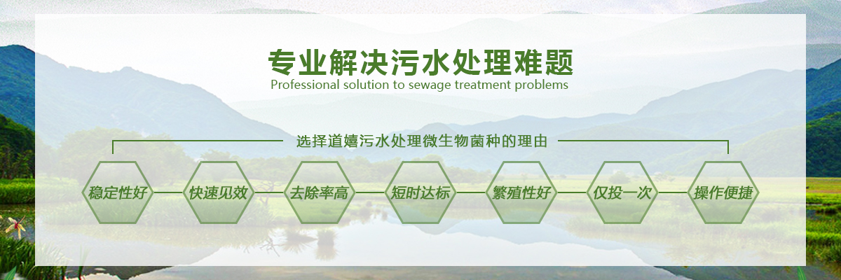 道嬉污水处理微生物菌种