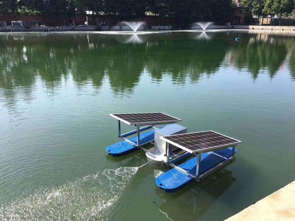 微生物在污水处理流程的重要性