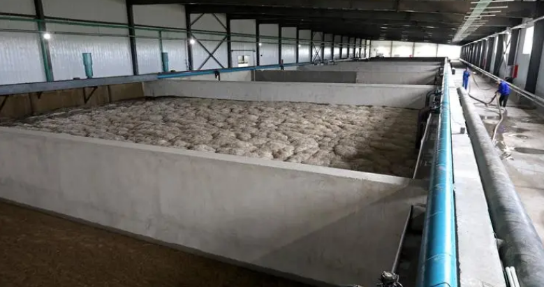 养殖场废水cod、氨氮超标如何快速有效处理?