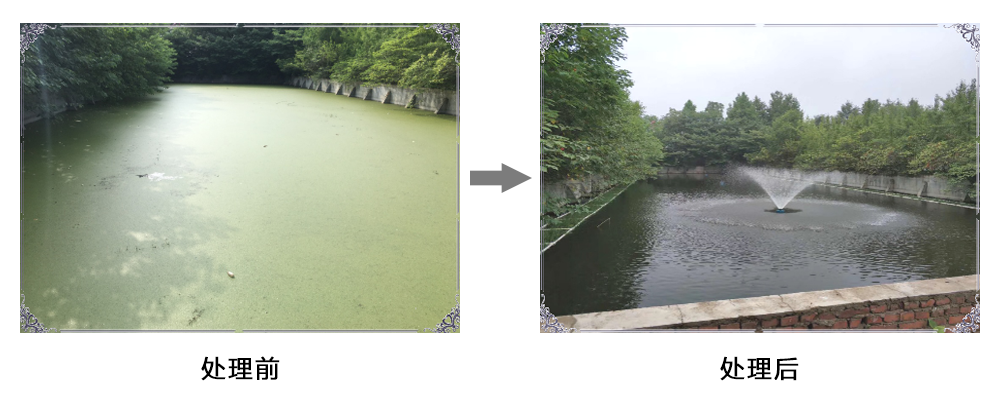 某水产养殖用地项目治理前后