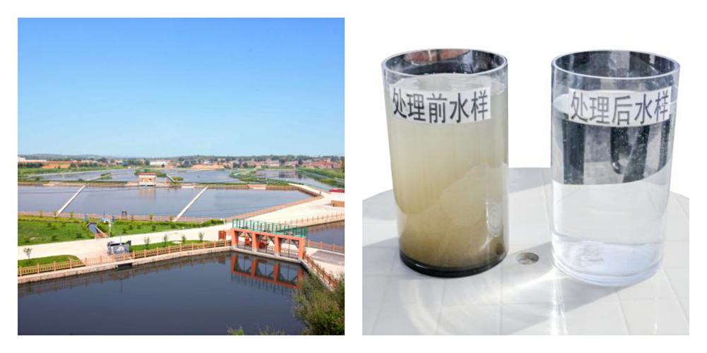 污水处理前后水样对比