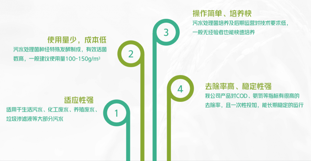 污水处理菌种优势