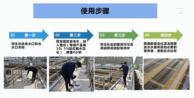 反硝化菌使用步骤
