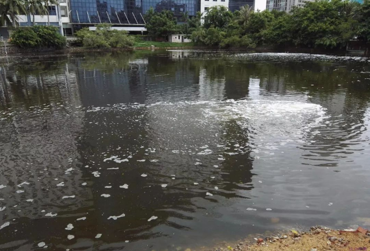 黑臭水体氨氮超标怎么治理
