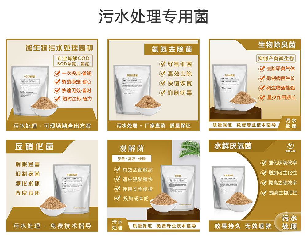 污水处理专用菌种