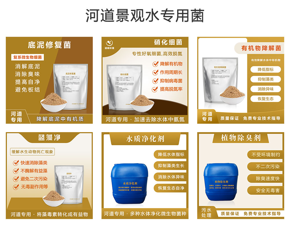 河道景观水体治理专用菌种
