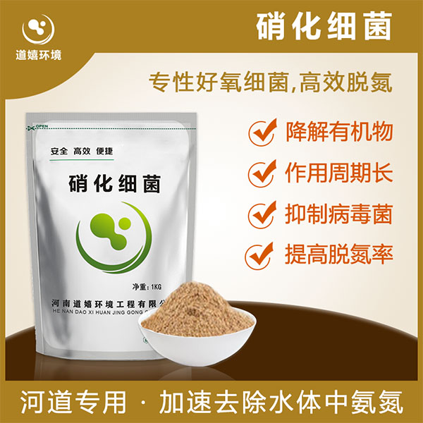硝化细菌