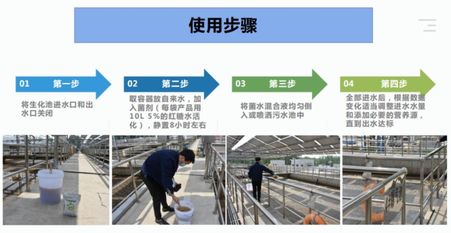 除磷菌使用步骤