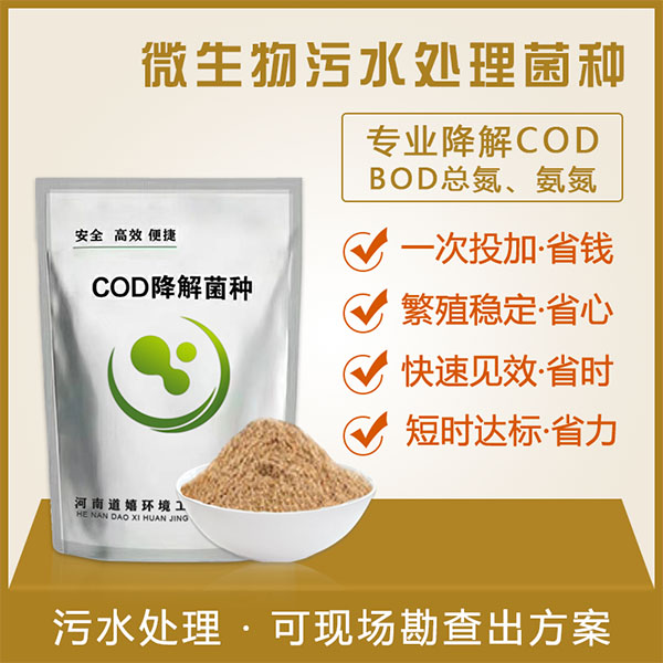COD降解菌