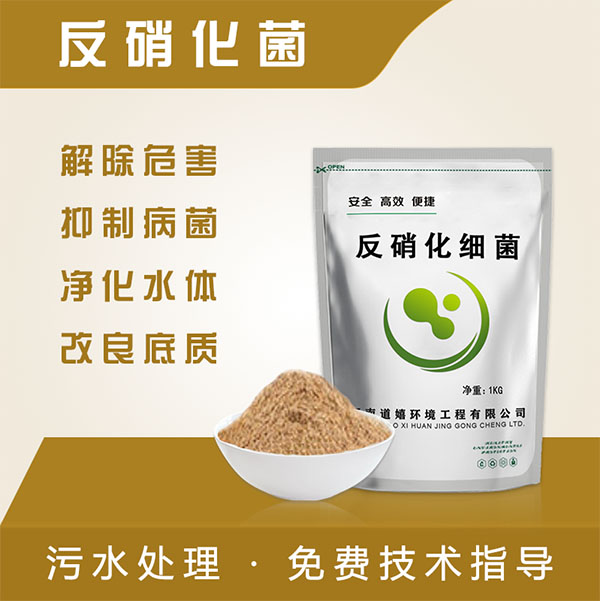 反硝化菌