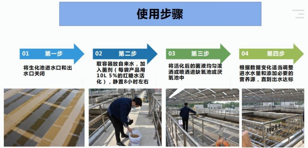 水解酸化菌使用步骤