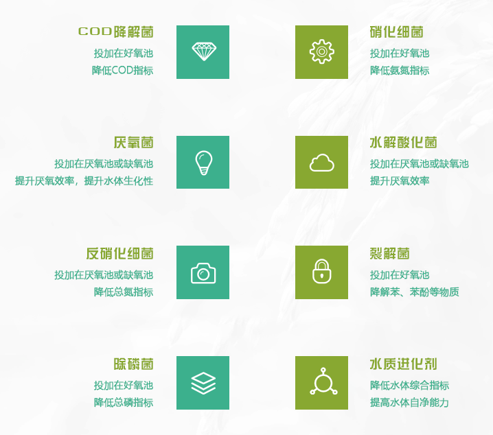 污水处理菌种介绍